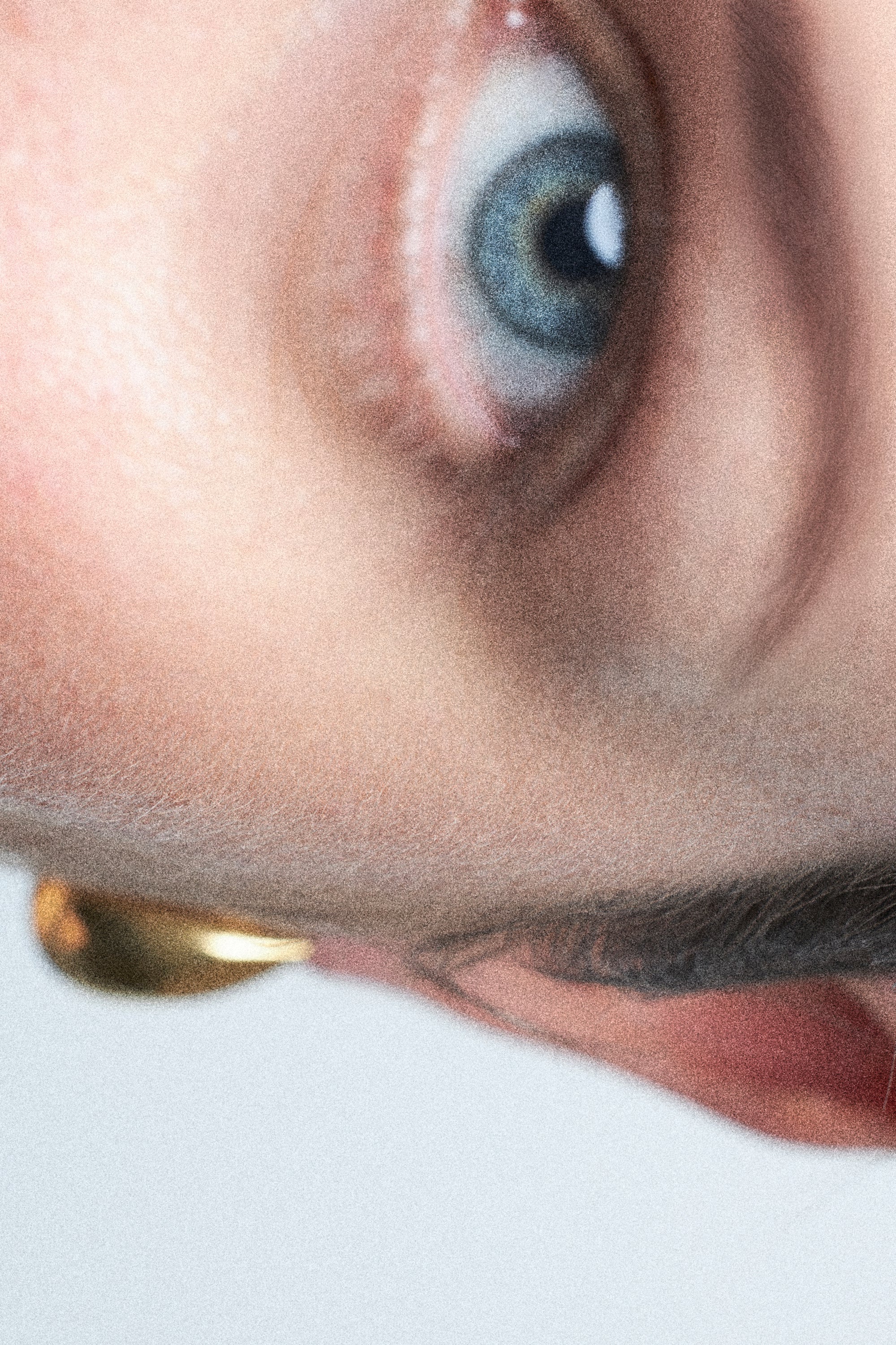 eye constantin